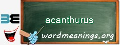 WordMeaning blackboard for acanthurus